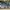 Nike Air Jordan Sportswear Pria gray photo 2