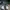 Nike Air Jordan Sportswear Pria gray photo 4