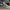 Nike Streetwear Casual Sneakers Wanita multicolor photo 3