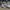 Alexander McQueen Streetwear Casual Sneakers Pria white photo 1