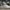 Alexander McQueen Streetwear Casual Sneakers Pria white photo 3