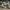 Gucci Streetwear Casual Sneakers Pria tan photo 1