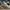 Gucci Streetwear Casual Sneakers Pria tan photo 3