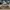 Gucci Streetwear Casual Sneakers Pria tan photo 2