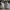 Gucci Streetwear Casual Sneakers Pria tan photo 4