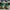 Gucci Streetwear Casual Sneakers Pria multicolor photo 4