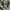 Gucci Streetwear Casual Sneakers Pria multicolor photo 7
