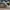 Gucci Streetwear Casual Sneakers Pria multicolor photo 3