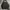 Champion Sportswear Fleece Pria black photo 1