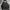 Champion Sportswear Fleece Pria Black