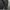 Champion Sportswear Fleece Pria black photo 4