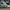 Adidas Streetwear Casual Sneakers Pria multicolor photo 3