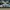 Adidas Streetwear Casual Sneakers Pria Multicolor