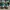 Adidas Streetwear Casual Sneakers Pria multicolor photo 4