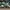 Adidas Streetwear Casual Sneakers Pria multicolor photo 1