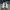 Adidas Streetwear Casual Sneakers Pria multicolor photo 5
