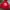 Adidas Casual Suit Pria red photo 2