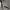 Casual Sweatshirt Pria gray photo 3