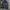 Converse Sportswear Track jacket Pria navy photo 3