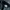 Converse Sportswear Track jacket Pria navy photo 4