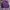 Casual Track jacket Pria purple white photo 6