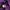 Casual Track jacket Pria purple white photo 8