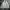 Nike Y2K Sportswear Track jacket Pria multicolor gray photo 1