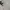 Polo Ralph Lauren Vintage Luxury Harrington jacket Pria cream photo 4
