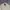 Polo Ralph Lauren Vintage Luxury Harrington jacket Pria cream photo 3
