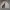 Polo Ralph Lauren Vintage Luxury Harrington jacket Pria cream photo 5