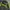 Puma Sportswear Casual Track jacket Pria green photo 6