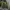 Puma Sportswear Casual Track jacket Pria green photo 1