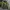Puma Sportswear Casual Track Jacket Pria Green
