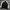 Dickies Sportswear Casual Track jacket Pria white black photo 3