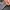 Y2K Minimalist Sweater Pria gray photo 2