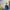 Columbia Sportswear Windbreaker Pria navy blue photo 2