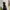 Dickies Sportswear Windbreaker Pria black photo 4
