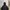 Dickies Sportswear Windbreaker Pria black photo 3