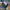 Patagonia Streetwear Sportswear Jeans Pria Multicolor