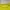 Minimalist Sweatshirt Pria yellow photo 2