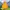 The North Face Gorpcore Y2K Windbreaker Pria yellow photo 1
