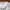 JW Anderson Casual Sweater Wanita white photo 3