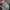 Levi's Streetwear Sportswear Jeans Pria multicolor photo 8