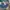 Levi's Streetwear Sportswear Jeans Pria multicolor photo 1