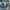 Levi's Streetwear Sportswear Jeans Pria Multicolor