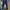 G-Star RAW Streetwear Sportswear Jeans Pria multicolor photo 2