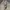 Columbia Vintage Casual pants Pria cream photo 4
