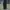 School Of Hard Knocks Streetwear Y2K Jeans Pria black gray photo 1