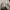 Converse Minimalist Casual Sneakers Pria cream photo 5