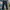 Burberry Streetwear Sportswear Jeans Pria multicolor photo 2
